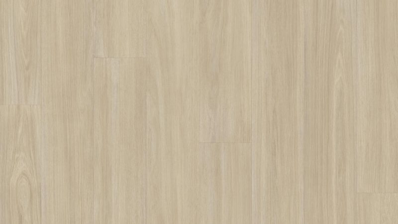Accent Excellence Nhỏ Gọn+