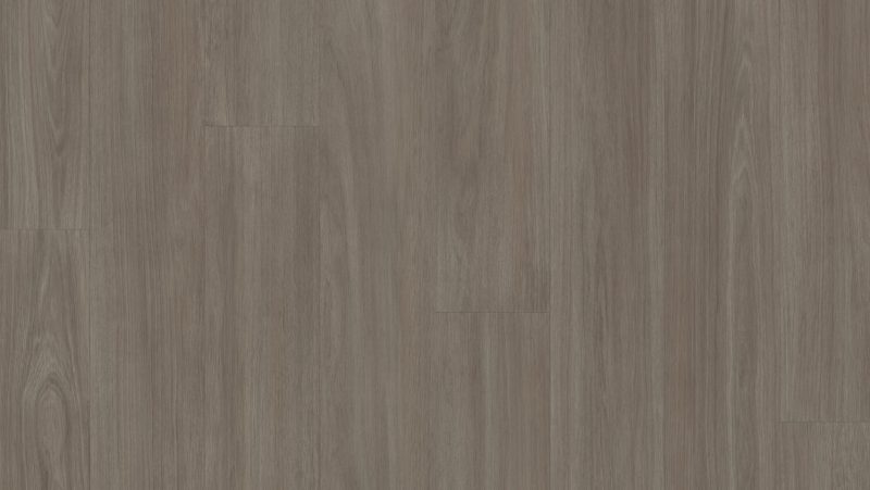 Accent Excellence Nhỏ Gọn+