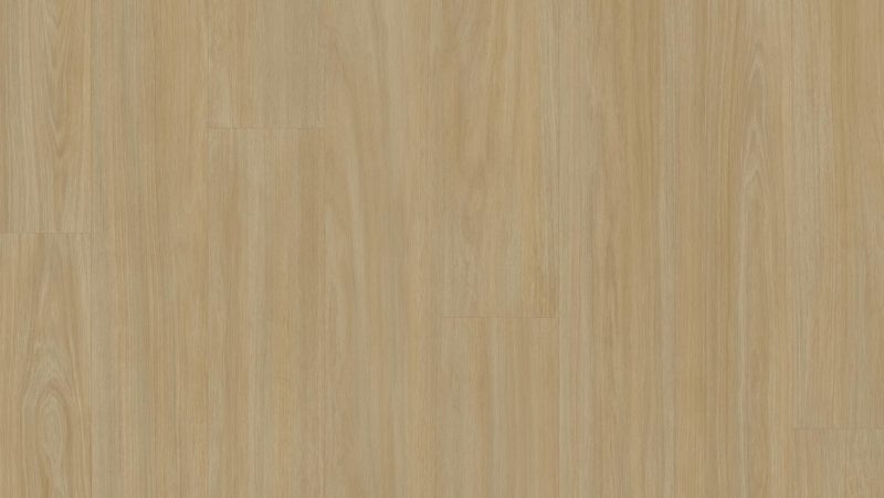 Accent Excellence Nhỏ Gọn+