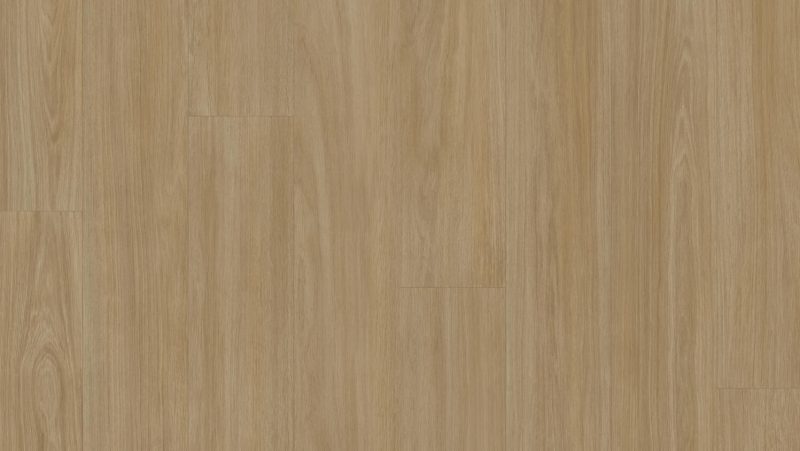 Accent Excellence Nhỏ Gọn+