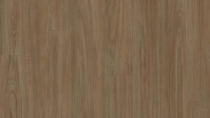Accent Excellence Nhỏ Gọn+